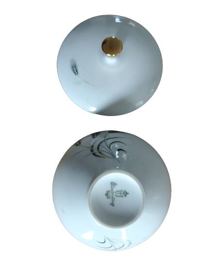 Bavaria Winterling teapot + sugar bowl