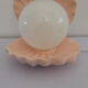 Lampe coquillage rose saumon