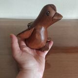 Exotic wood duck