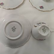 Bavarian tea cups