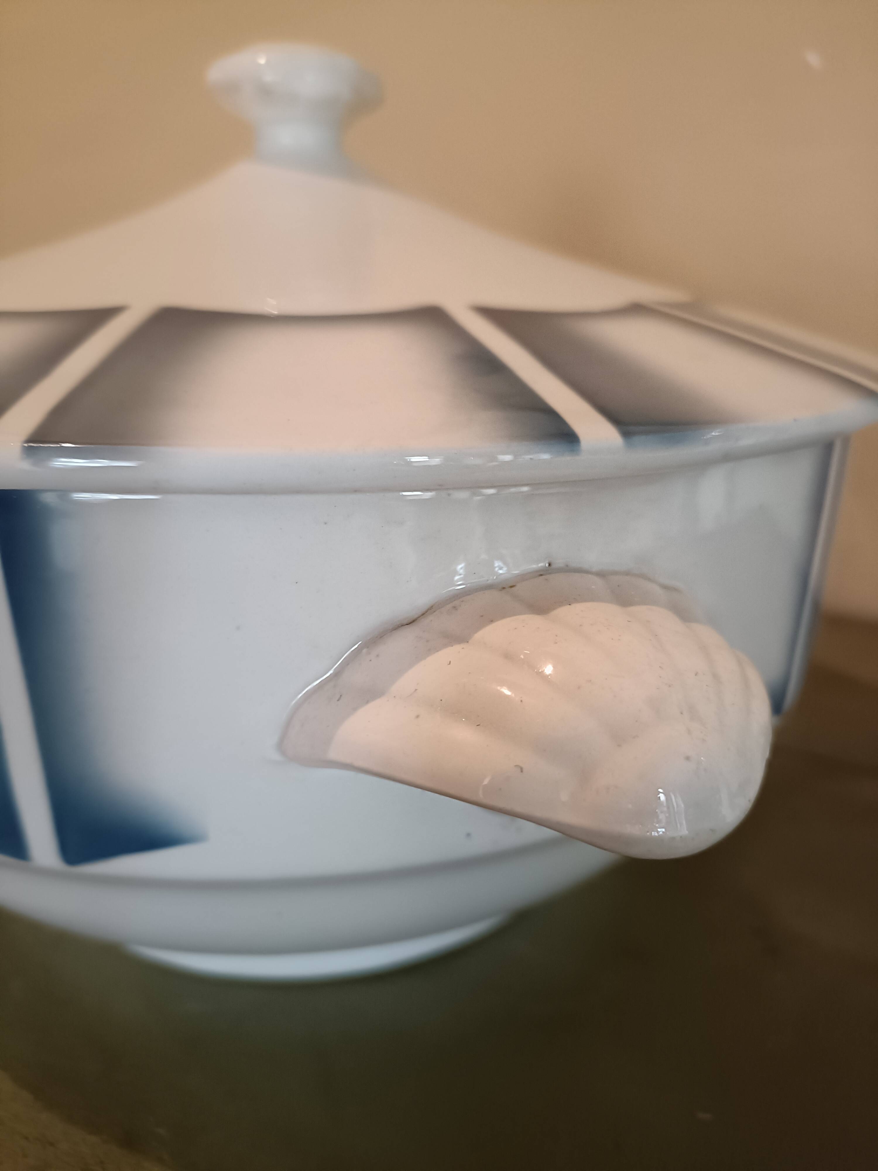 Digoin Sarreguemines soup tureen