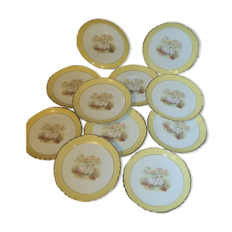 Set of 11 dessert plates