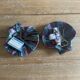 Pair of iridescent shells