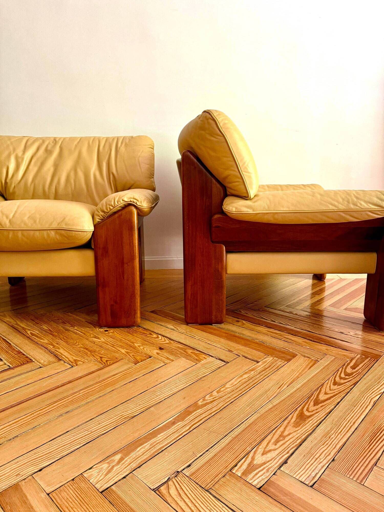Pair of “Sapporo” armchairs by Mario Marenco for Mobil Girgi, Italy, 1970s