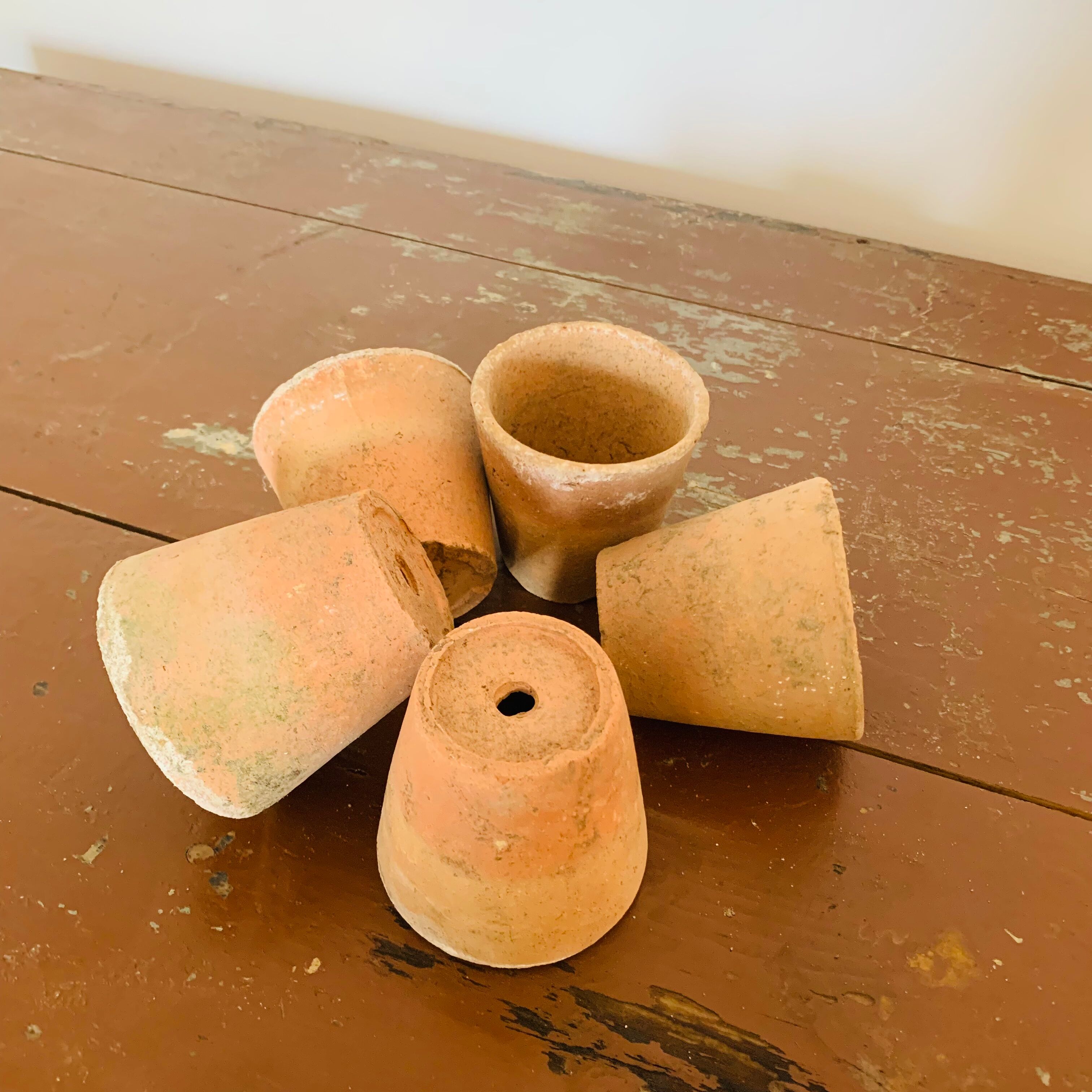 Lot of 5 terracotta pots circa 1930 graineterie