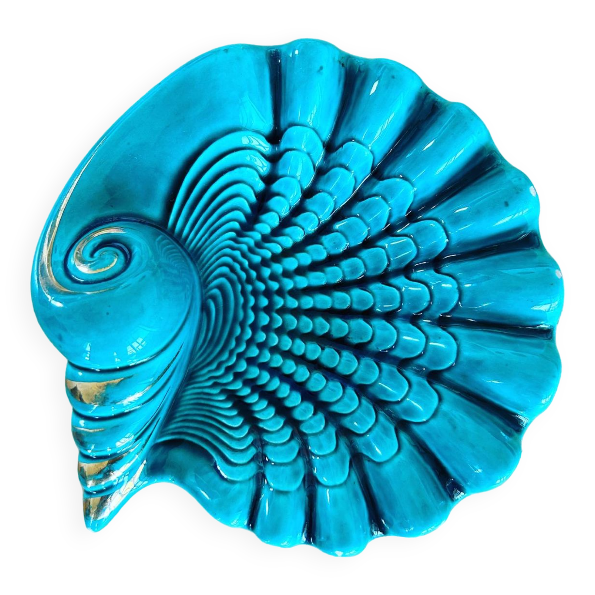 Verceram shell pocket empty