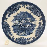 6 assiettes à dessert en faïence anglaise Myott Meakin