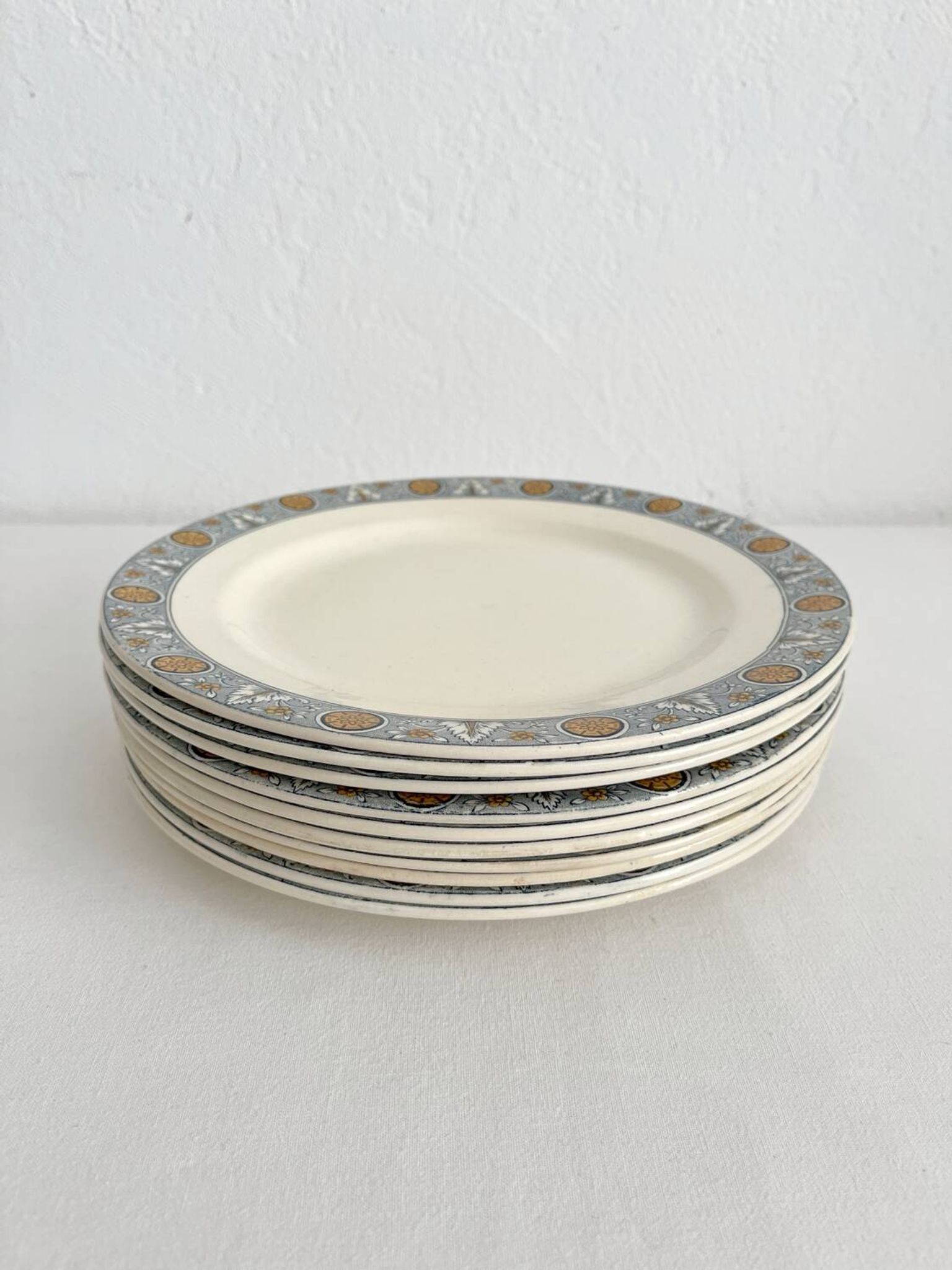 10 assiettes plates en terre de fer « Lamartine » Salins