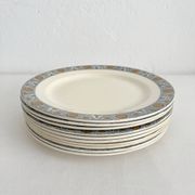 10 assiettes plates en terre de fer « Lamartine » Salins