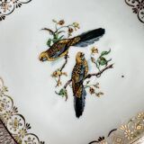 Empty pocket Limoges “duo of parakeets”