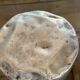 Lot de 6 bidons de lait en aluminium