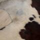 Tapis peu de vache naturel Ligne Roset