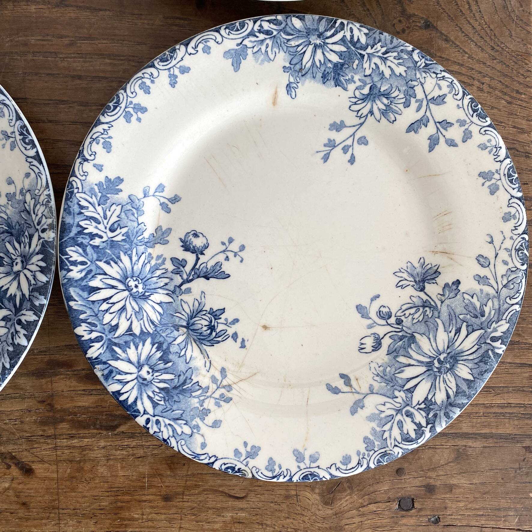 6 assiettes plates en terre de fer Gien "fleur d'automne"