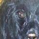 Vintage original dog portrait oil painting, signed animal art