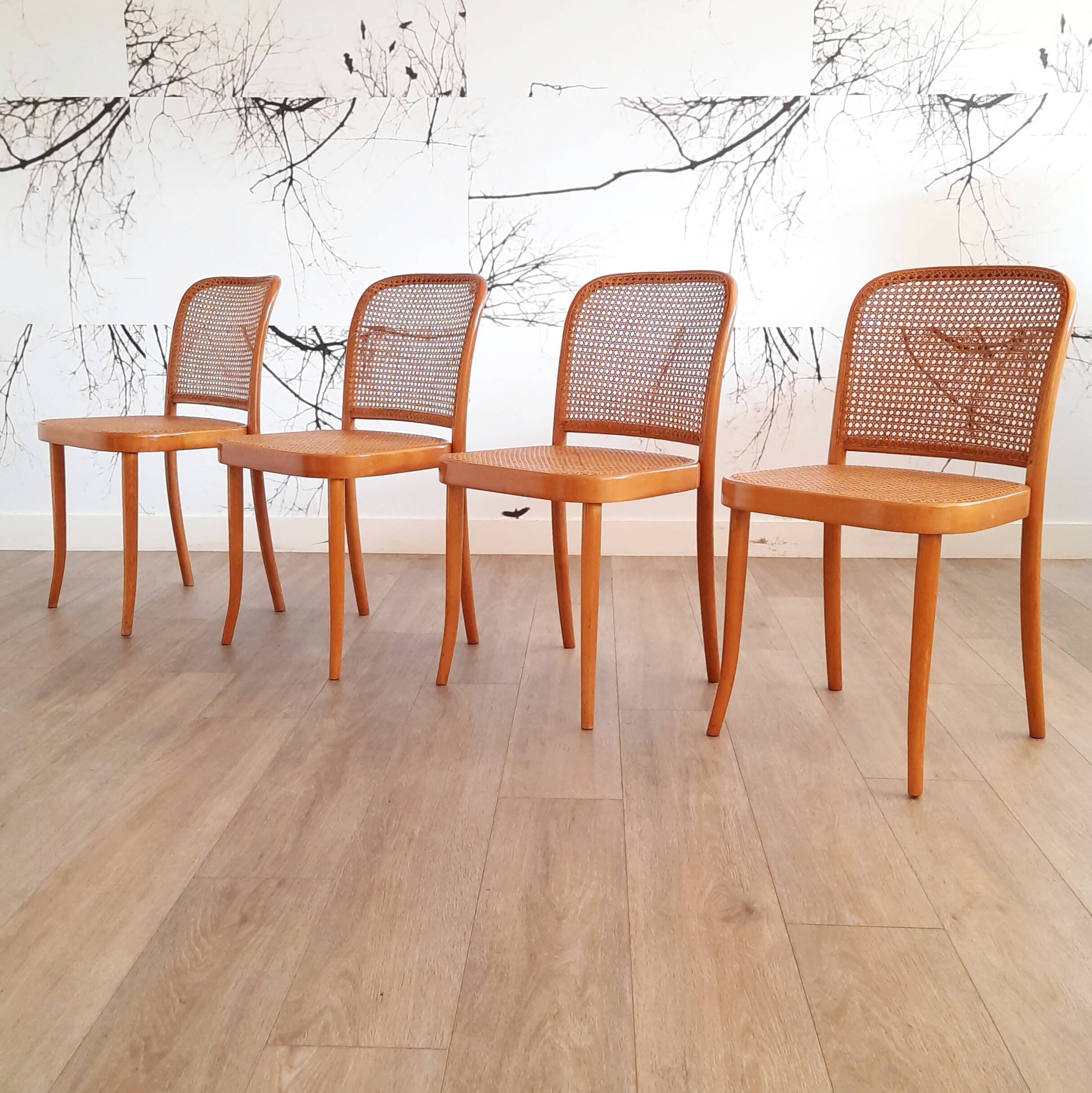Suite de 4 chaises blondes Prague ou 811, Ligna, 1970