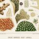 Poster for "The Corals of the Great Barrier Reef", 1893