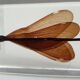 Insect under resin the Demoiselle d'Inde