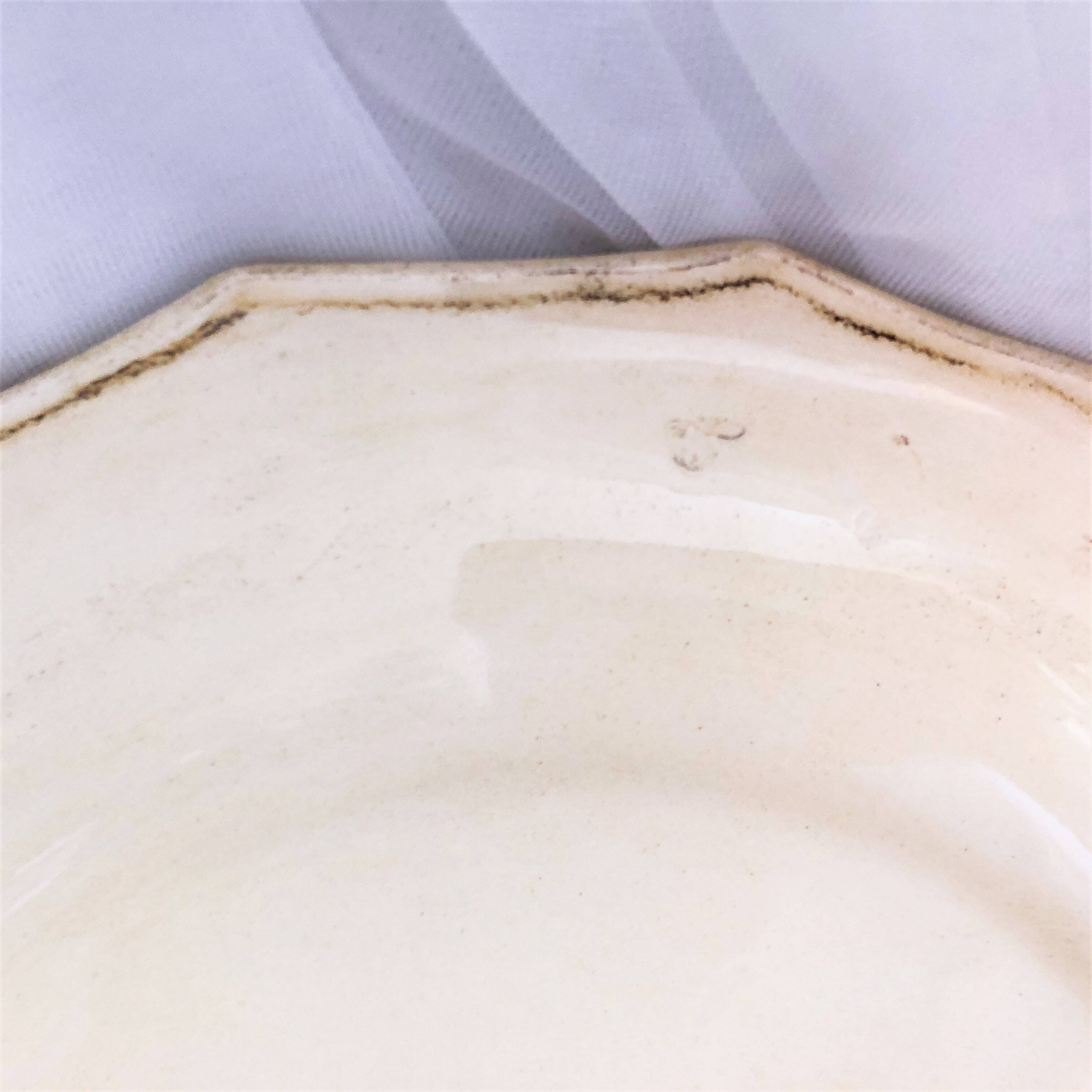 Decorative plate from Salins France decor Montpellier 25.5 cm