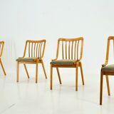 Set of 4 Dining Chairs Designed by Antonín Šuman, 1960s