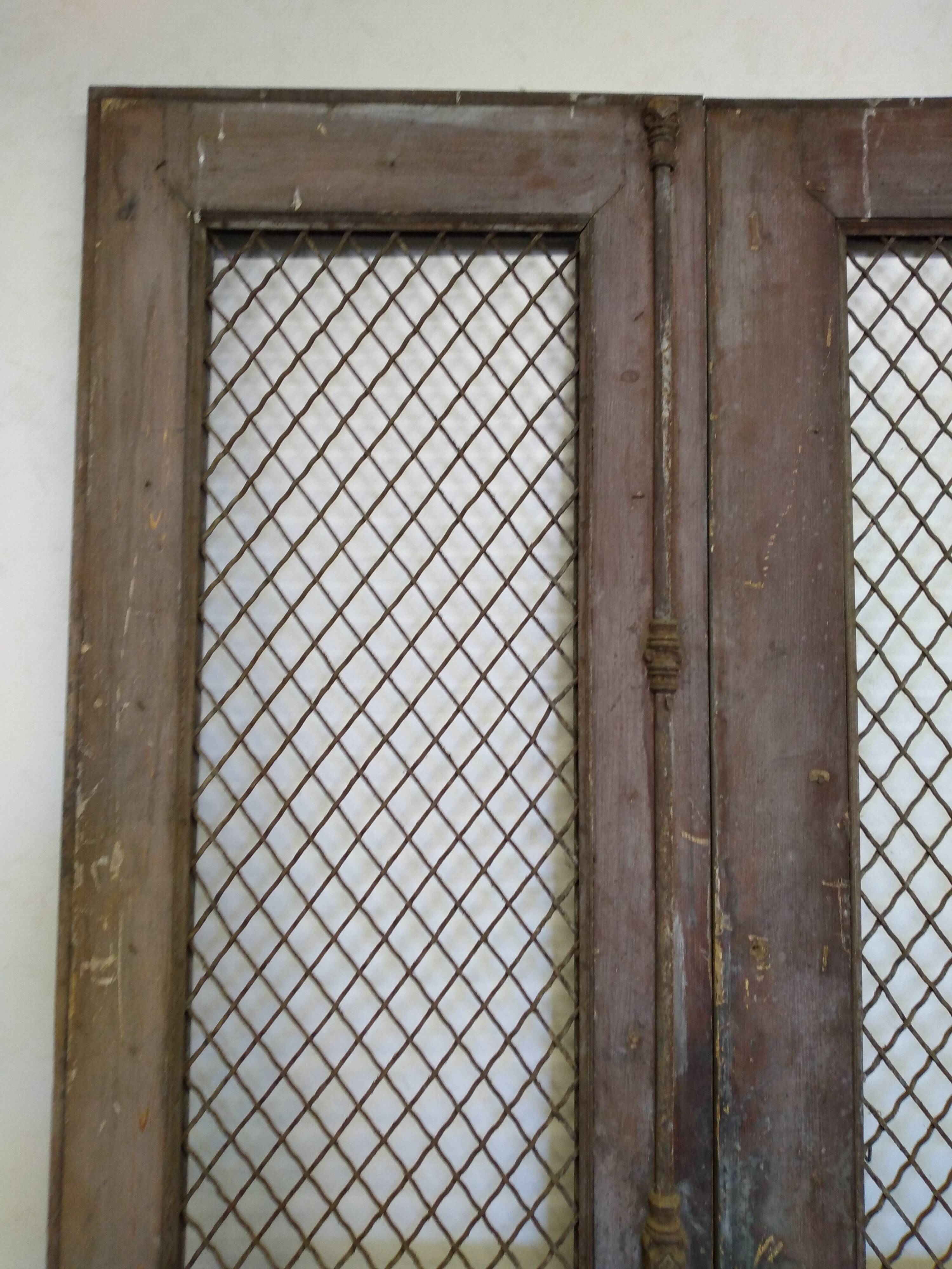 Double old mesh door