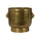 Large Hammered Brass Jardinière/Planter with Lion Heads