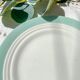 5 small vintage French porcelain plates, white and green, Céranord