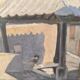 Orientalist painting from the early 20th century