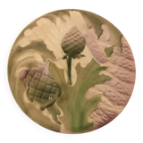 asparagus plate