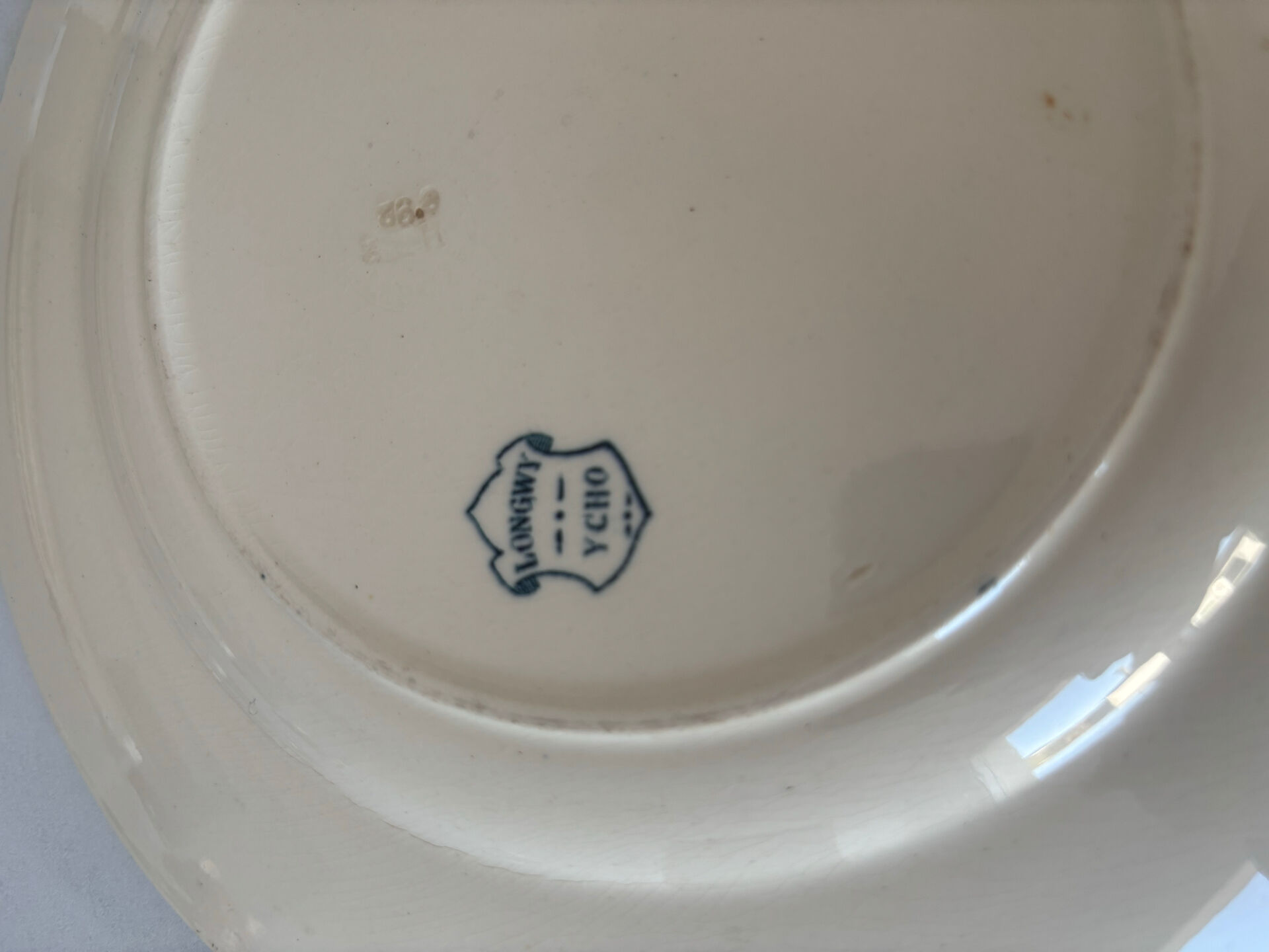 Flat plate iron earth Longwy model Ycho - blue flower faience ja