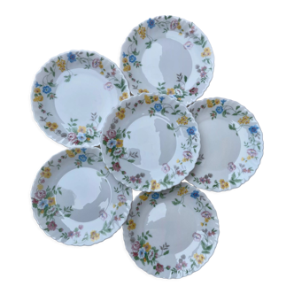Arcopal dessert plates