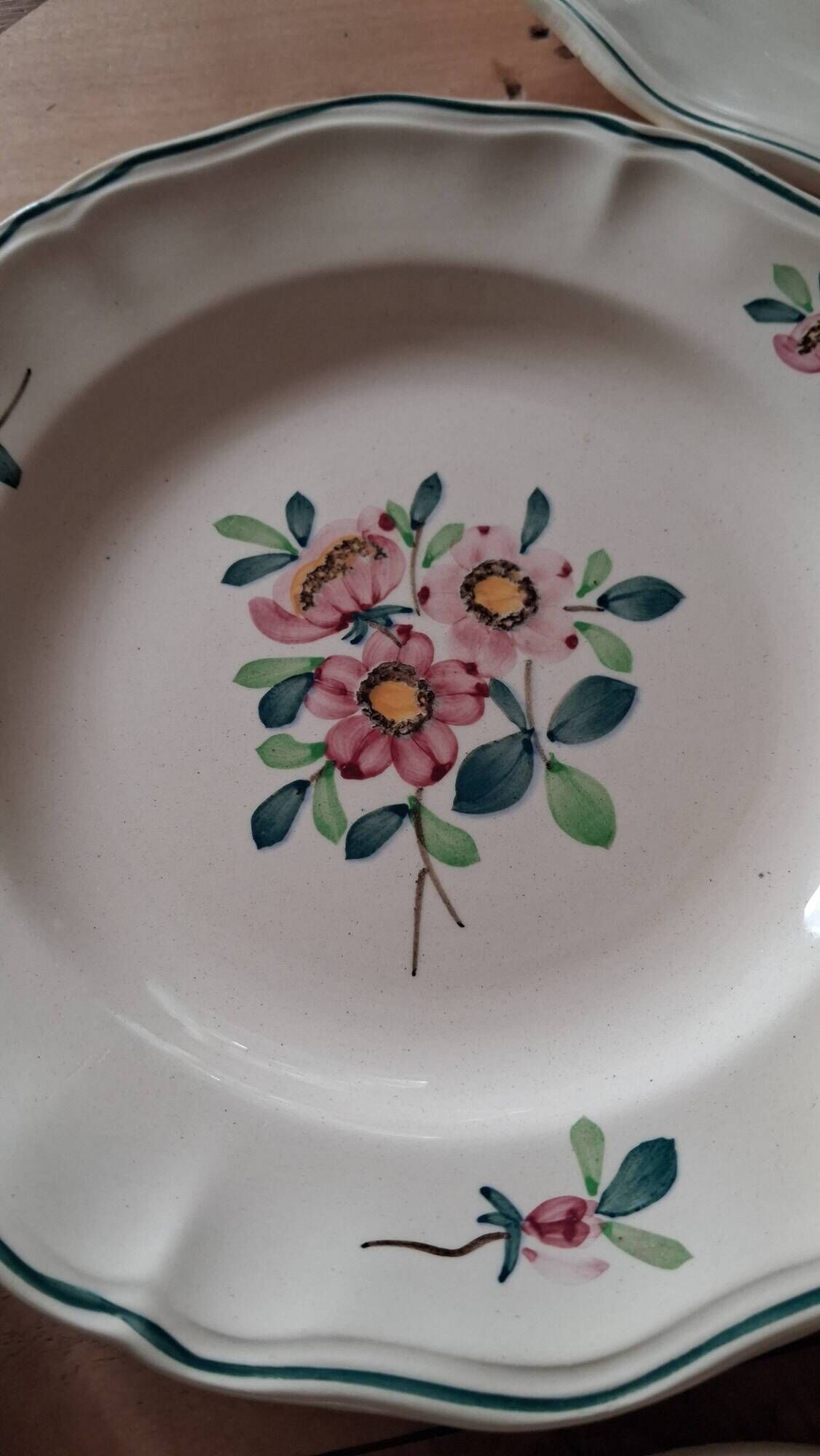 Amazonas plates Sarreguemines