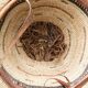 Lot of 3 straw and leather hats, Fulani people, Mali