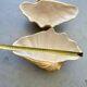 Ceramic shell