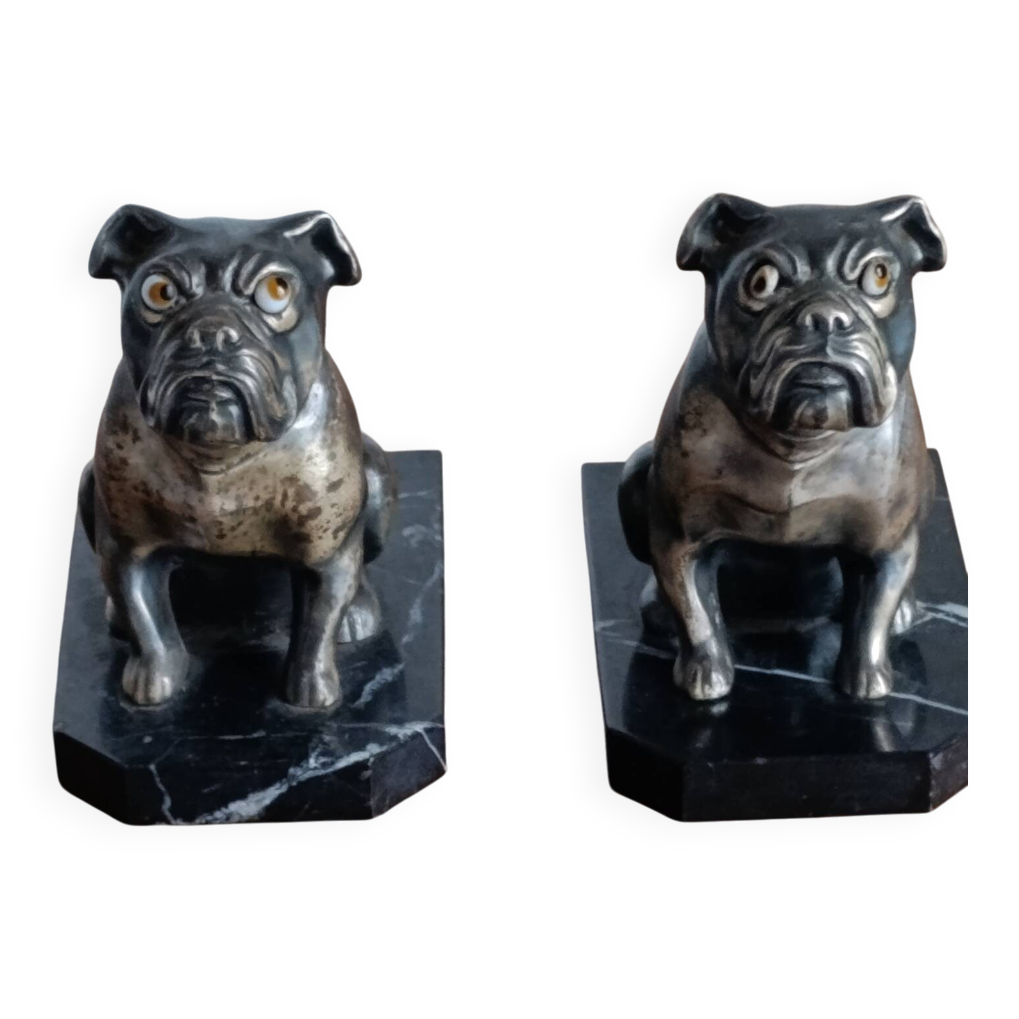 Delivered bulldogs from "Franjou"