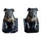 Delivered bulldogs from "Franjou"