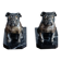 Delivered bulldogs from "Franjou"