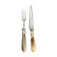 Horn-cutting service