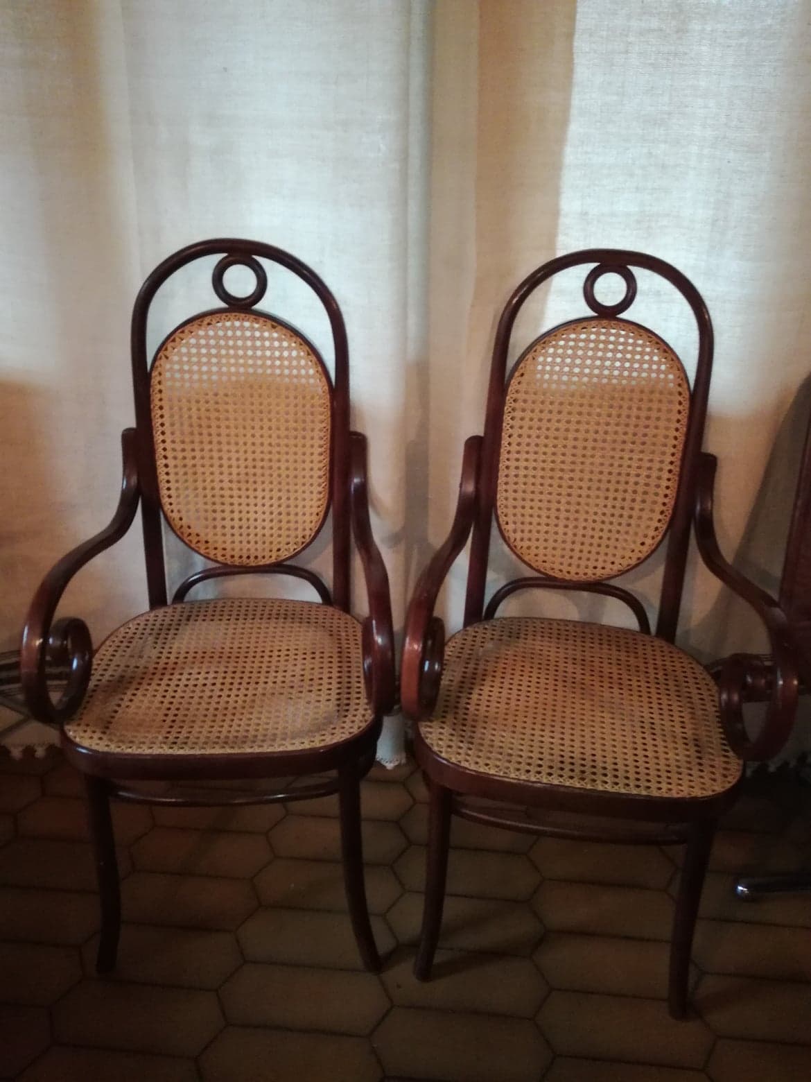 Pair of curved wooden armchairs and caning Thonet N ° 17 or long John 1920