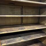 XL vintage display cabinet/laboratory cabinet/school cabinet