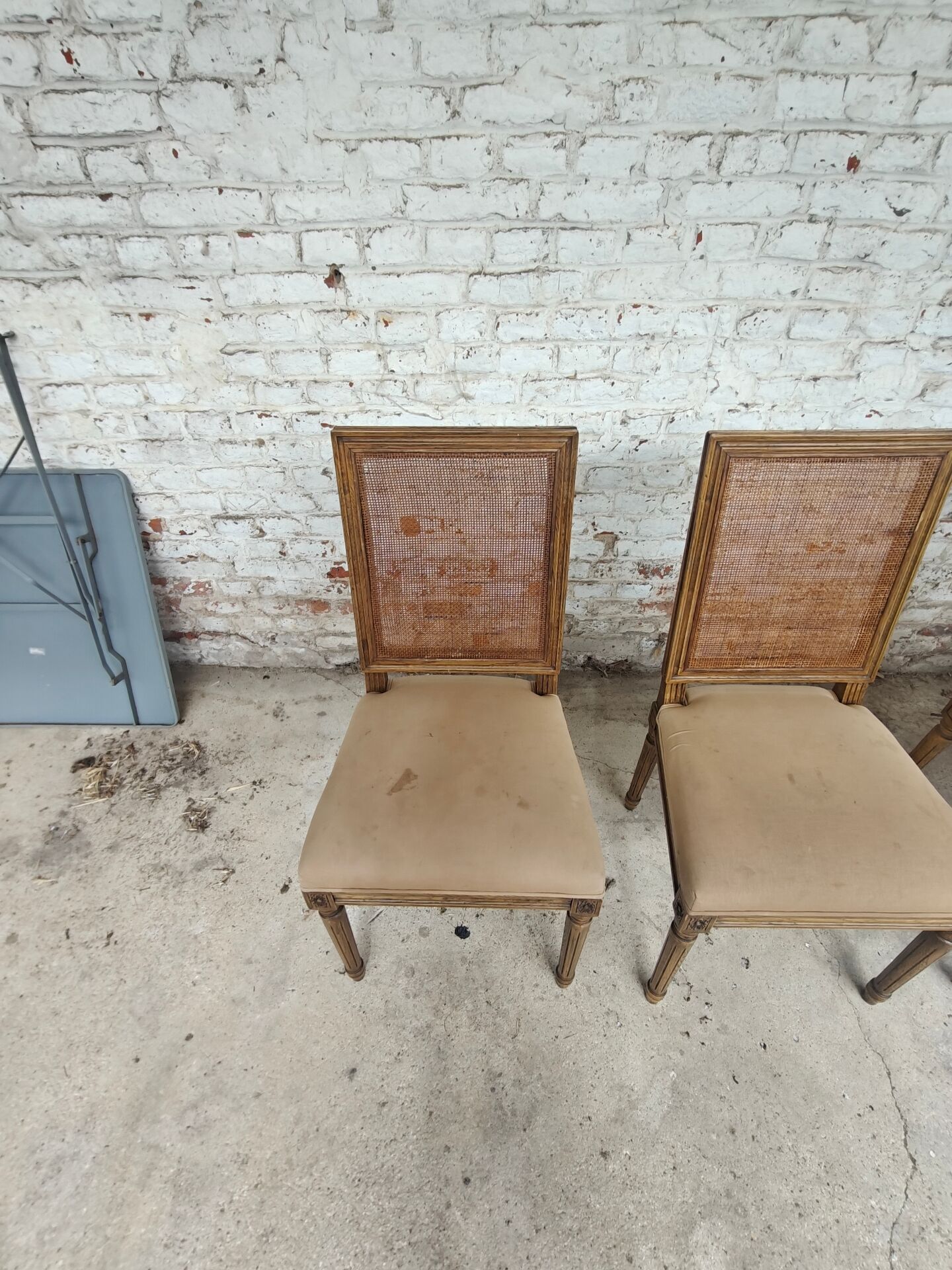 Set of 5 antique wooden and caned chairs.