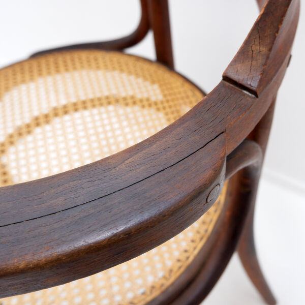 Chaise ou fauteuil en bois courbé style Thonet - années 1950