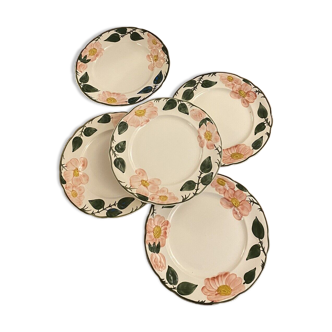 Wild Rose Villeroy & Boch 5 Assiettes Dessert 21 cm