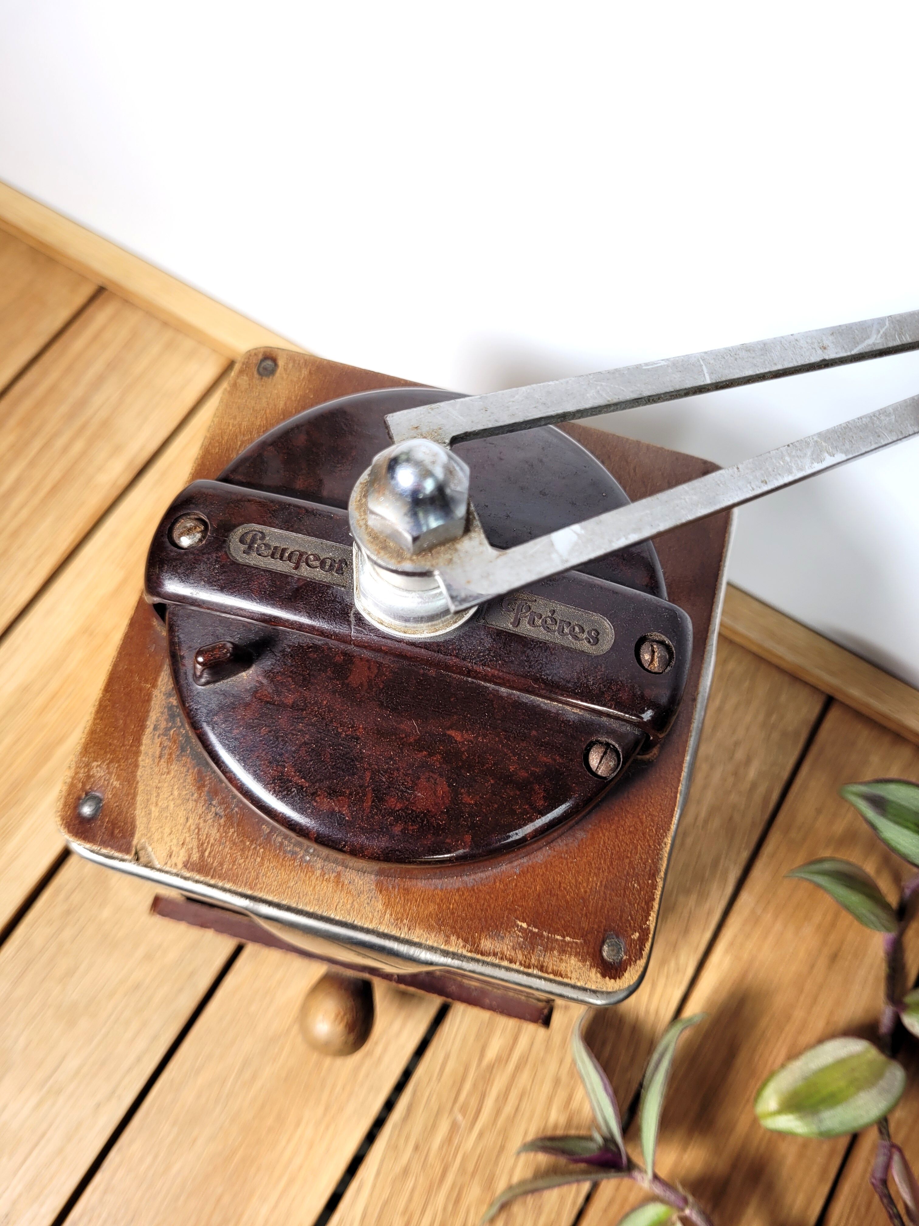 Old coffee grinder Peugeot Frères