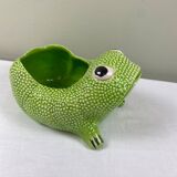Big Frog Jean Roger