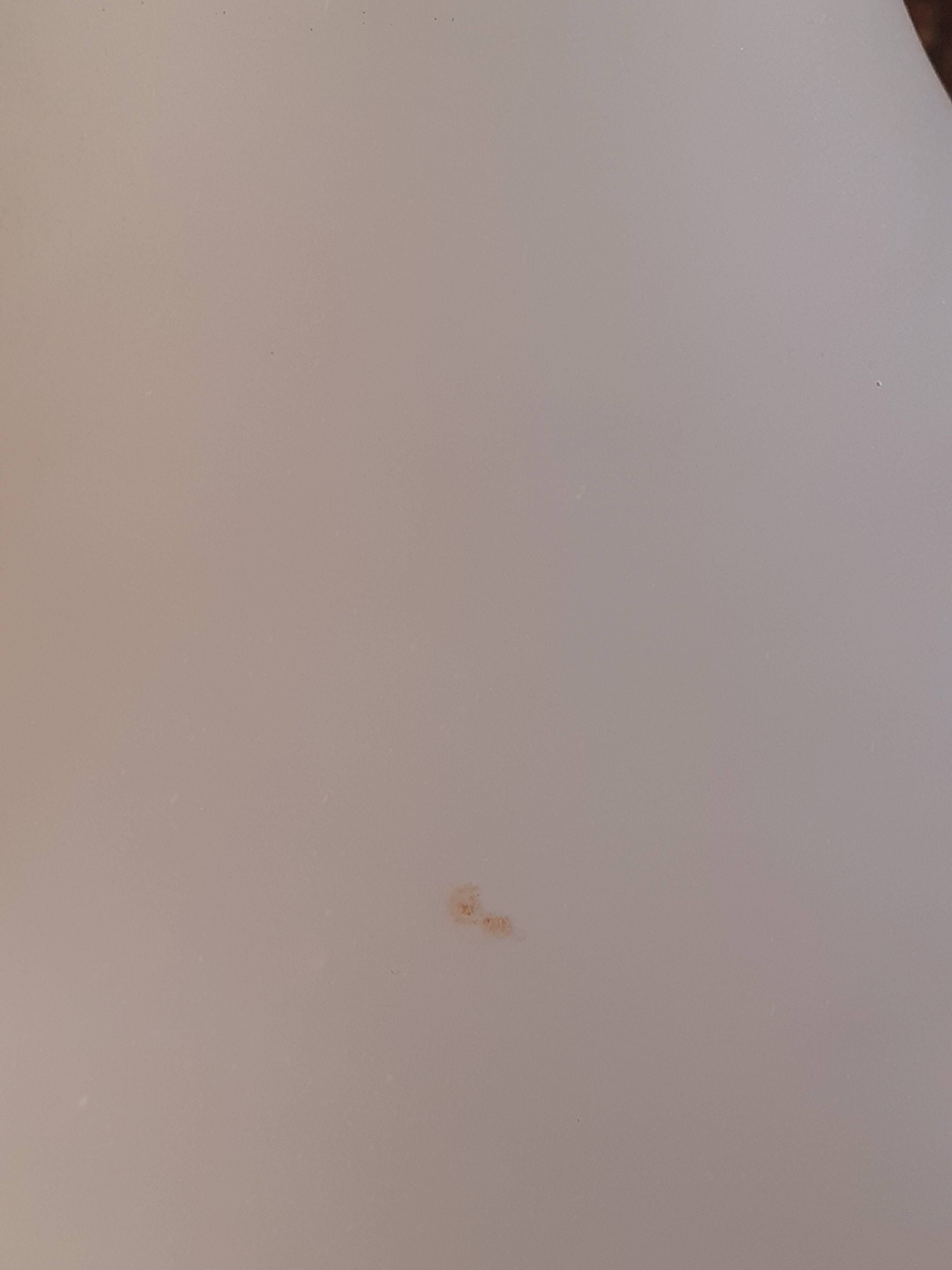 Vase en opaline et dorure début XIX ème