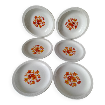 6 assiettes flower power 70es