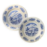 5 gien plates