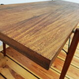 Table, coffee table by F. Mezulanik, Czechoslovakia, 1960s