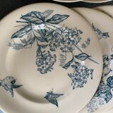 Lot of 8 plates