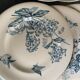Lot de 8 assiettes botanique